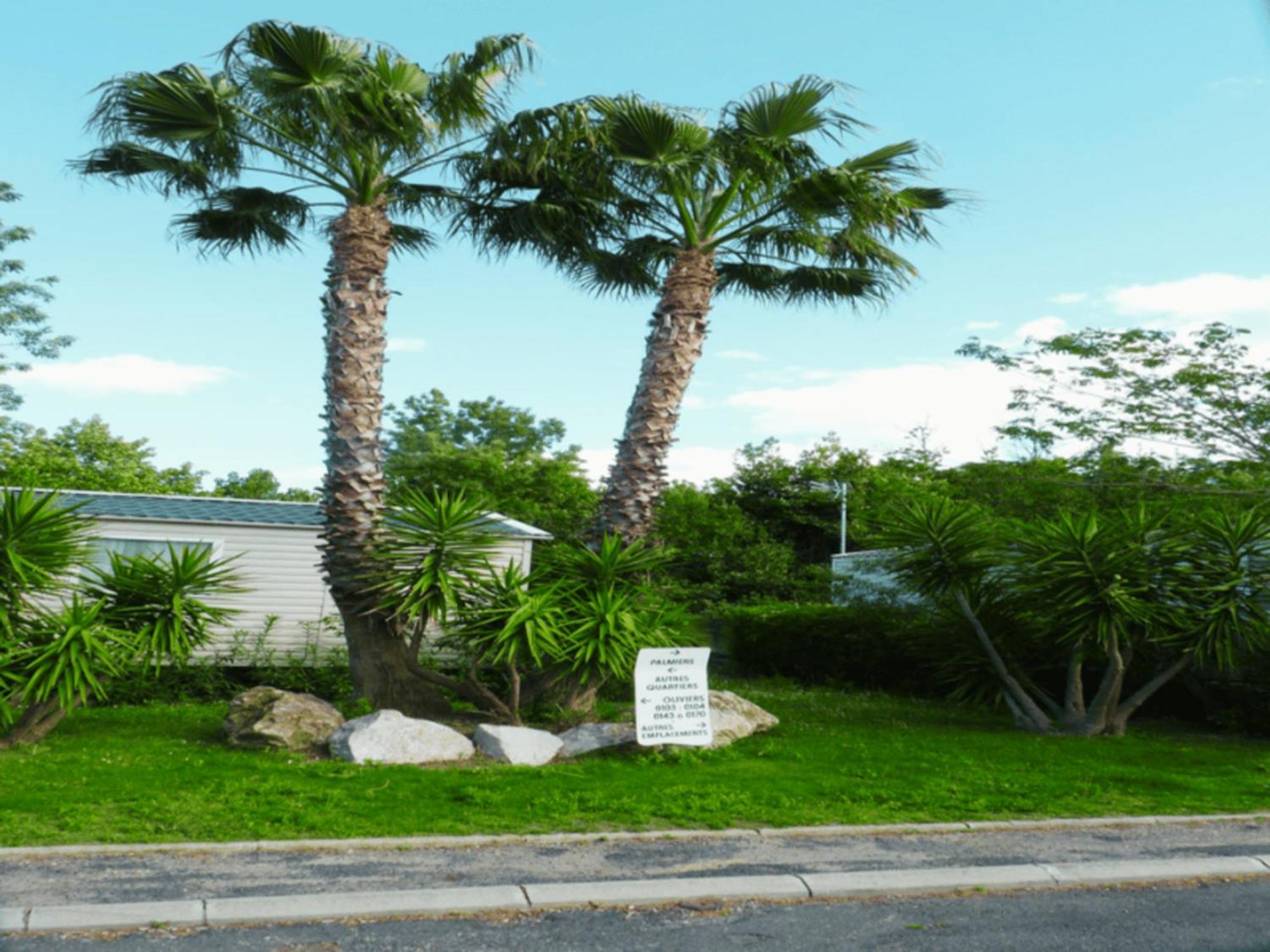 Mobil Home Confort Premium Valras-Plage Exterior foto